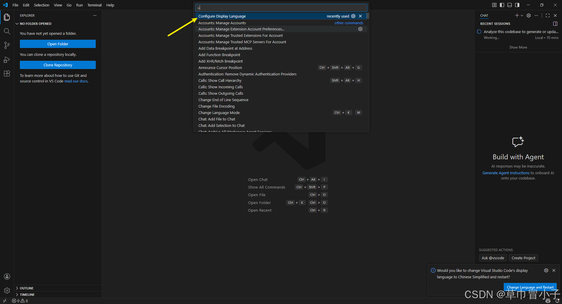 VS Code汉化方法及注意事项（图文教程）_vscode汉化-CSDN博客