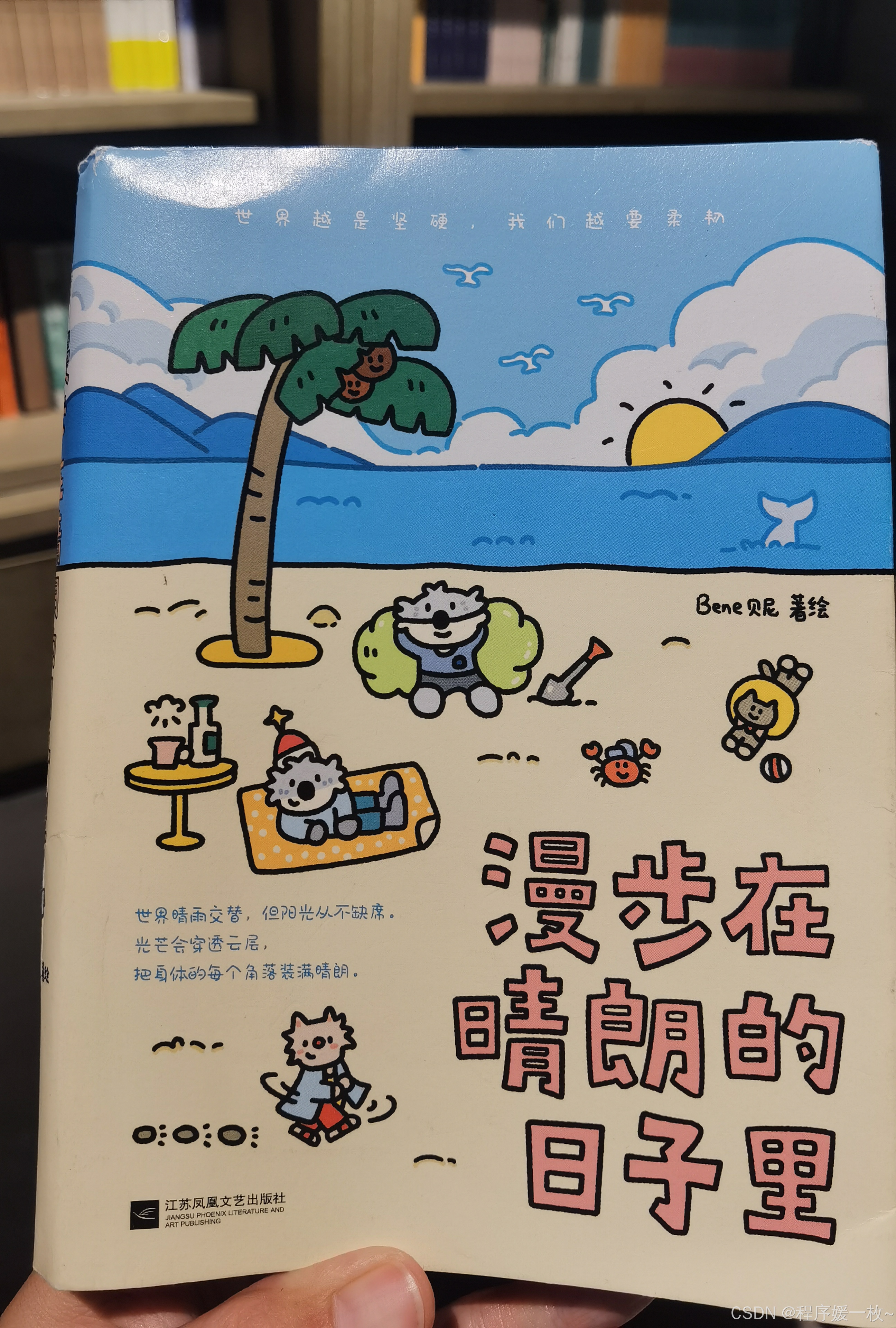 在这里插入图片描述