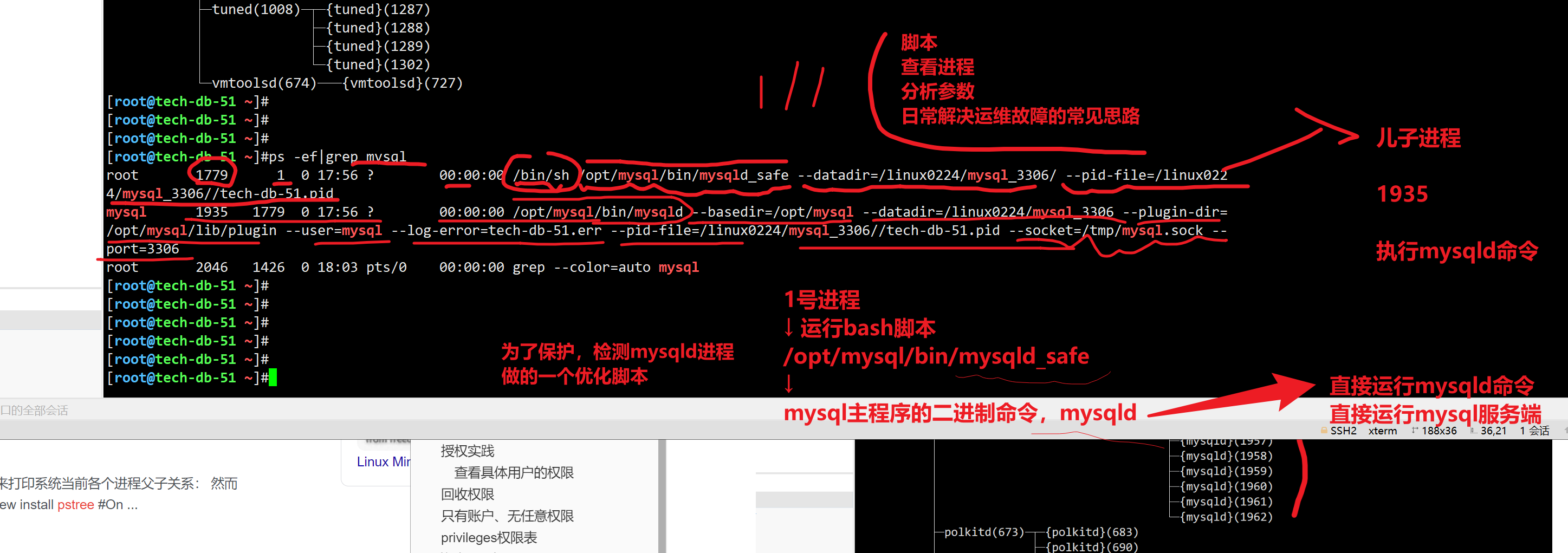 mysql运维核心基础_mysql 运维命令-CSDN博客