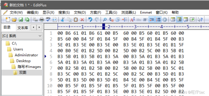 在这里插入图片描述