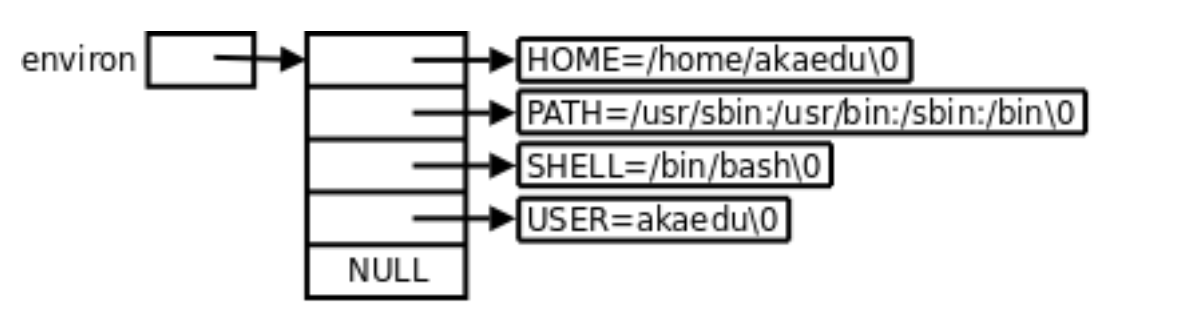 Linux 进程概念