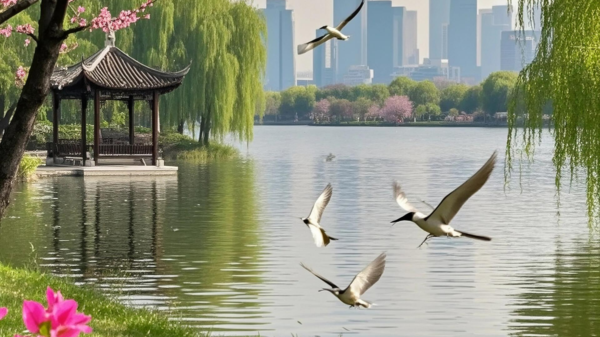 文章图片