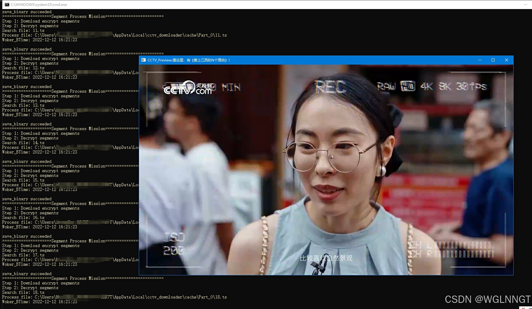 execution_preview