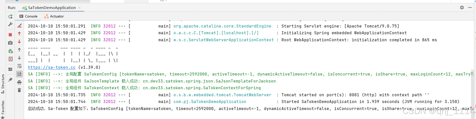 启动成功示意图