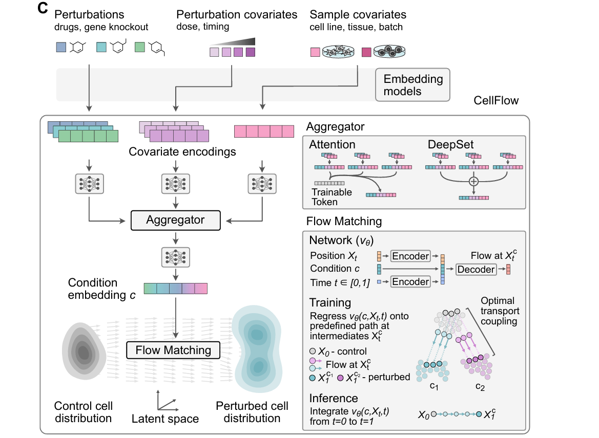 fig1c