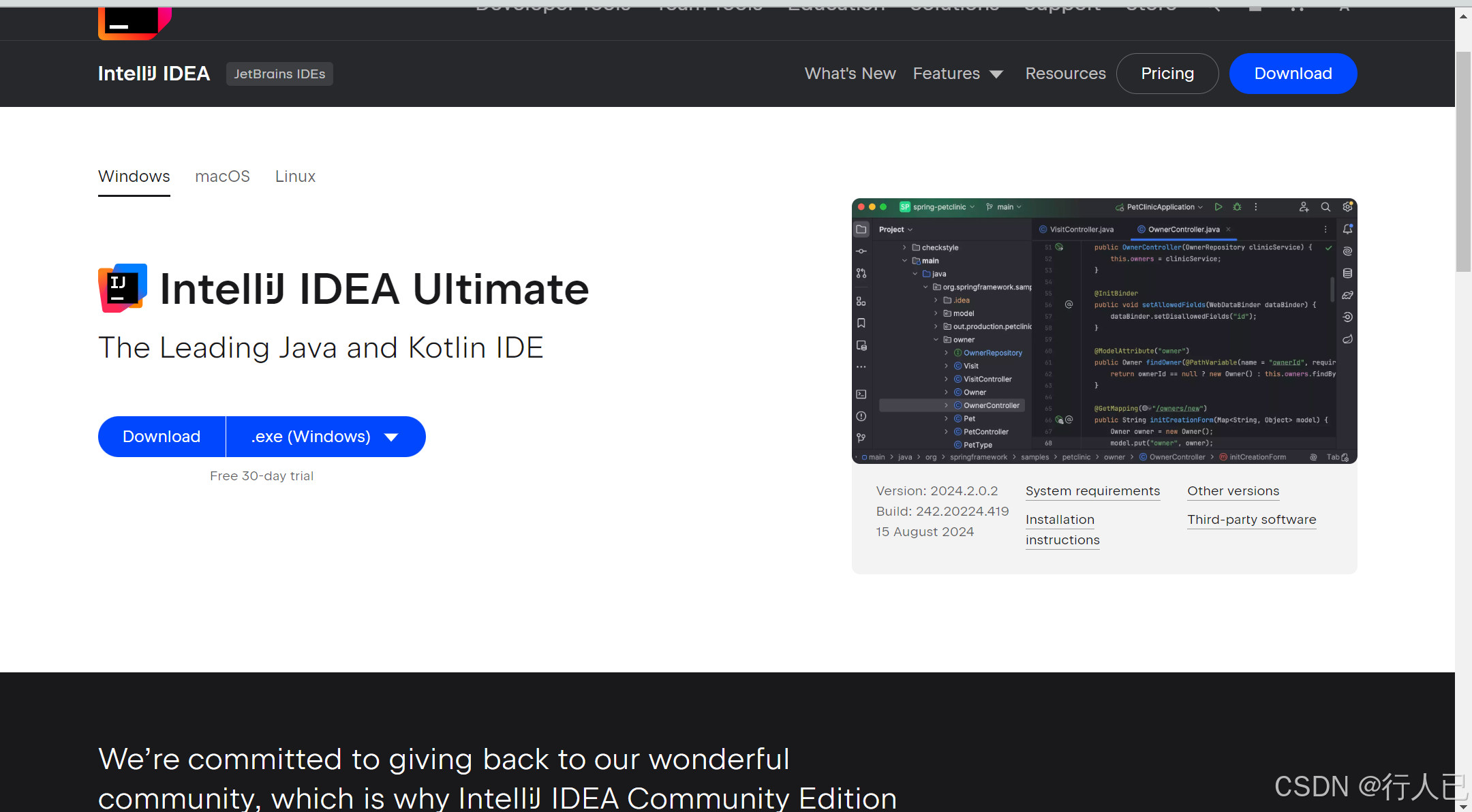 【IDEA】IntelliJ IDEA 下载安装教程,超详细图文教程_intellij idea安装教程-CSDN博客