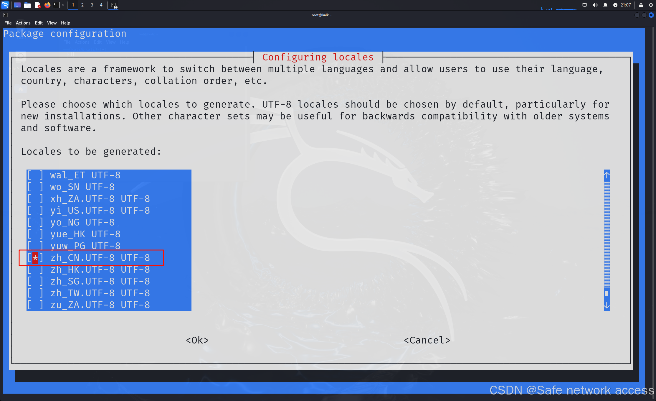 kali系统设置为中文_kail中文-CSDN博客