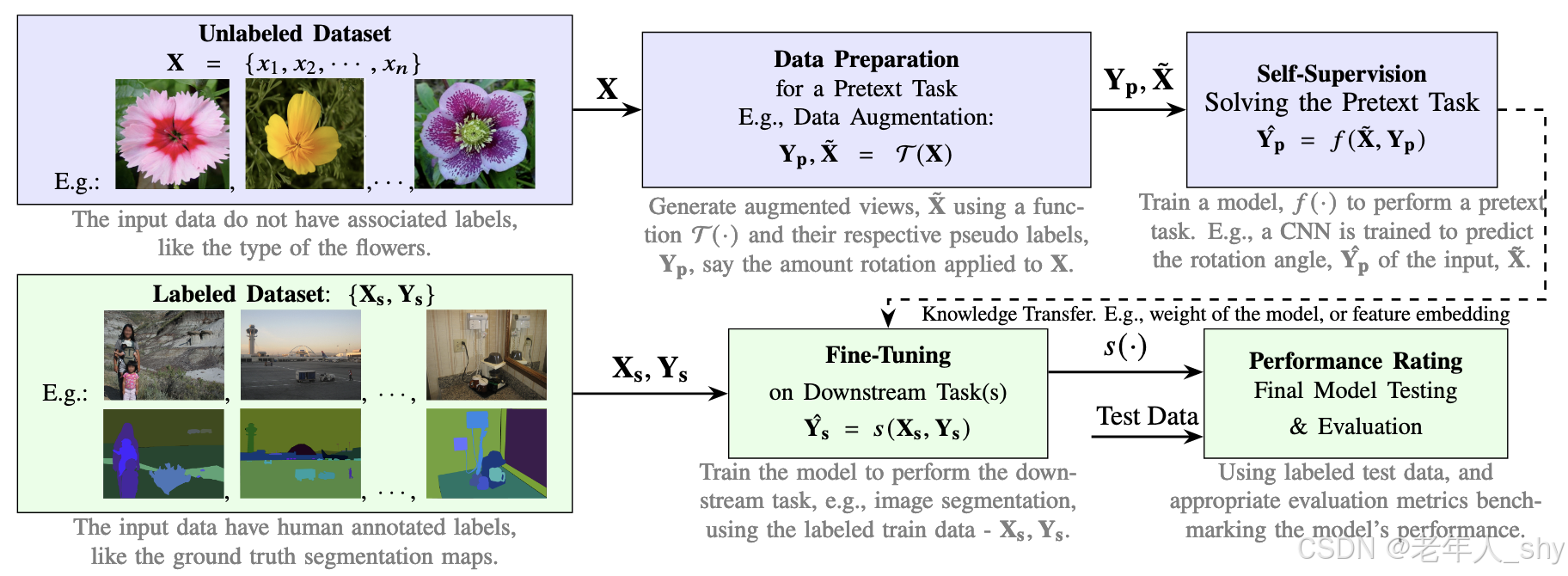 Self-Supervised Learning for Image Segmentation: A Comprehensive Survey ...