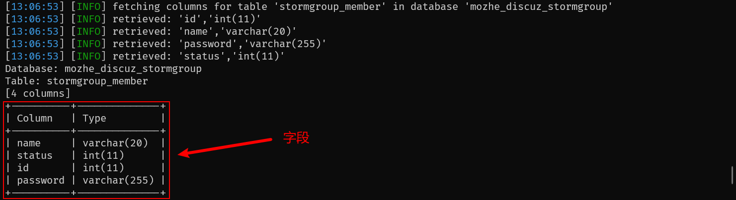 !https://via.placeholder.com/600x400?text=sqlmap字段探测
