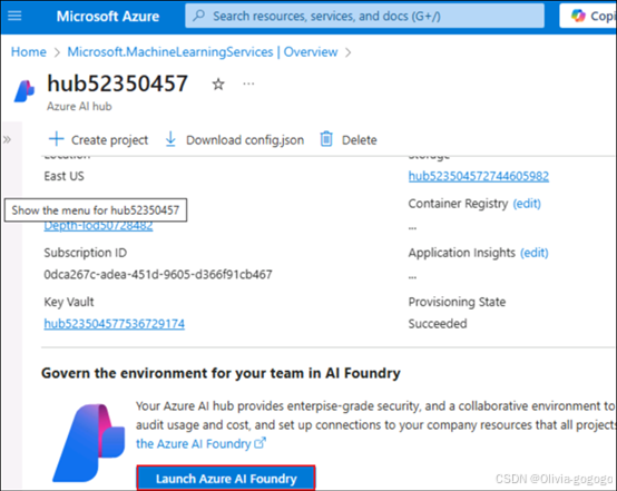 Creating a Custom AI Agent with Azure AI Foundry and Search Integration ...