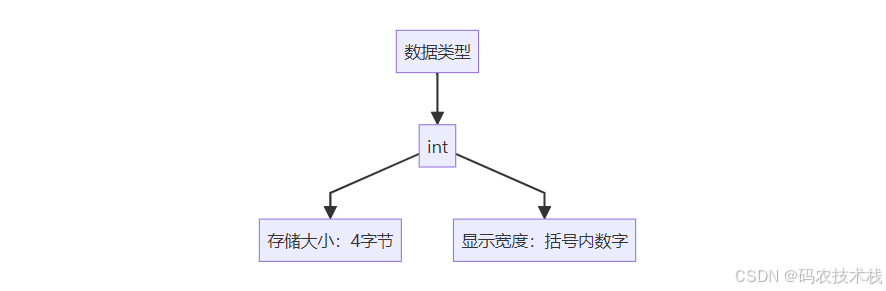 【MySQL终极解密】int(11)的“11“究竟代表什么？90%的人都理解错了_int11-CSDN博客