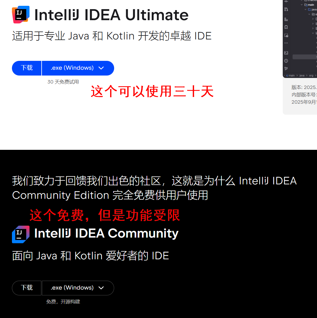在这里插入图片描述