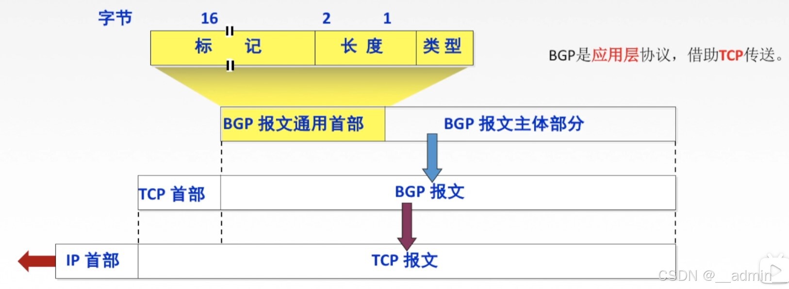 BGP报文格式
