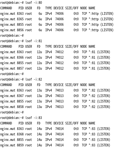 lsof 查看热更新过程中 nginx 打开的端口