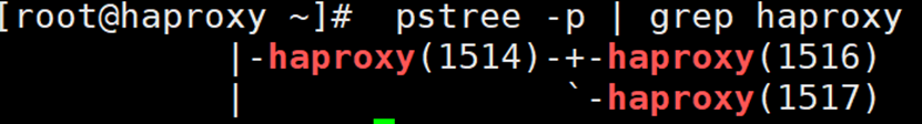 HAProxy