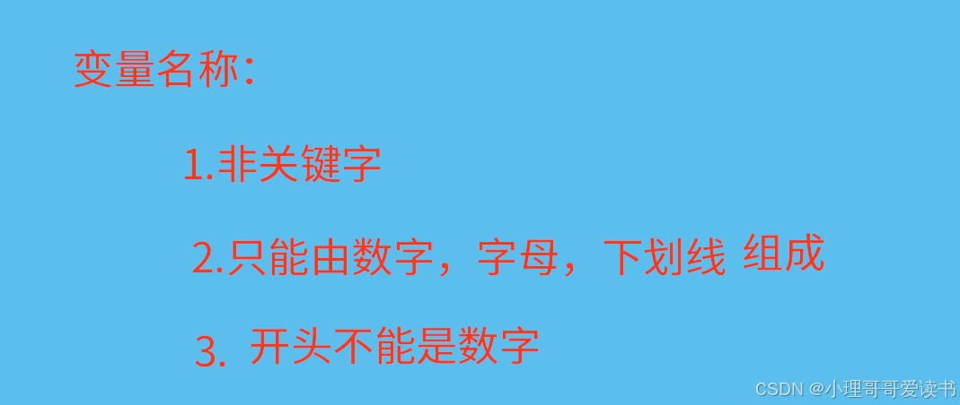 【图1】变量名称规范
