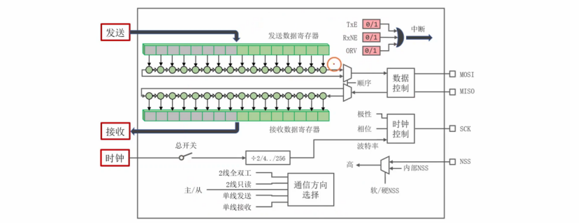 【STM32】江科大STM32小白养成记