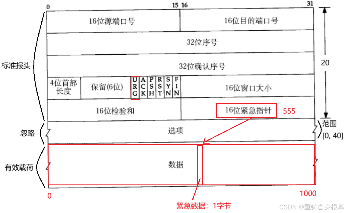 【linux】网络基础（十）TCP协议，TCP协议报文格式，标志位ACK SYN RST FIN PSH URG，超时重传机制，三次握手，四次 ...