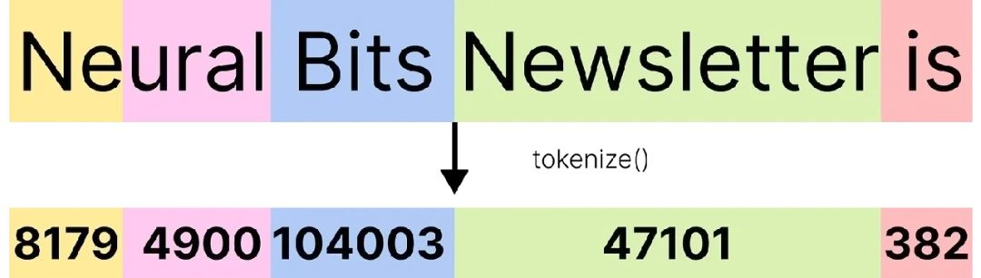 Neural Bits Newsletter”通过tokenizer的转换过程
