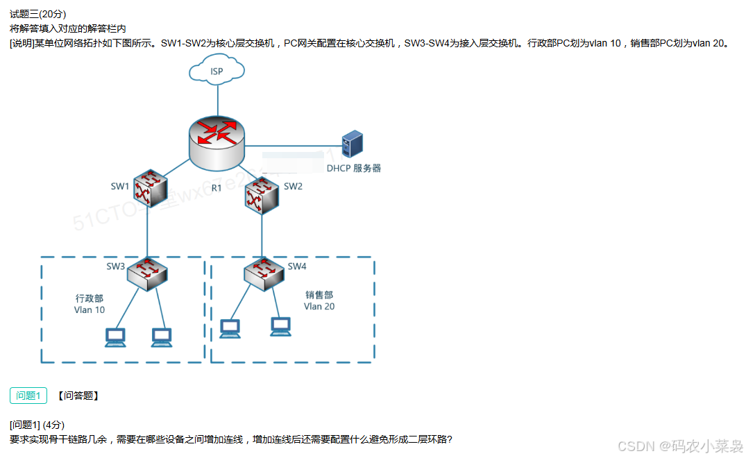 2024年5月网络工程师案例分析