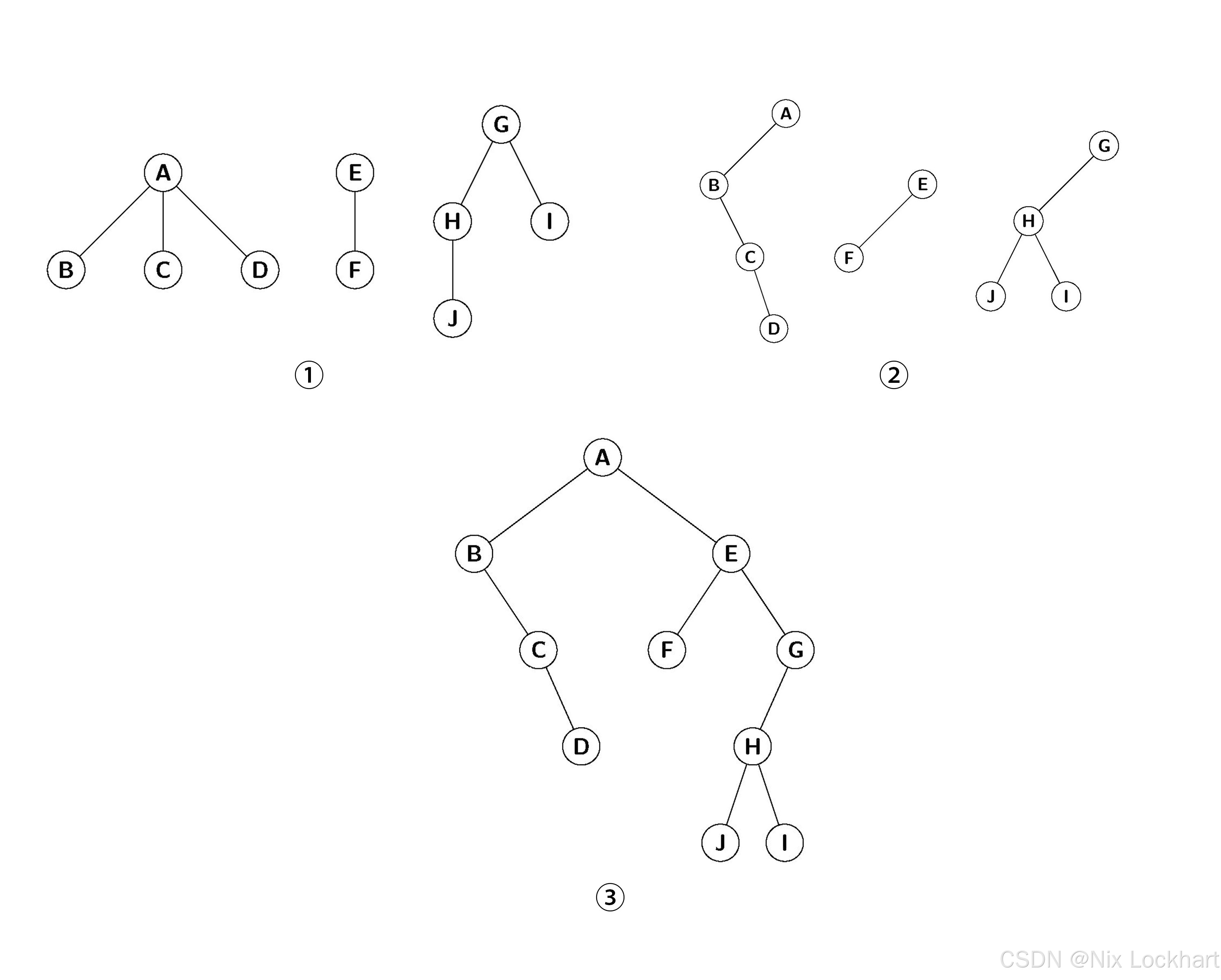 图8：森林转化为二叉树