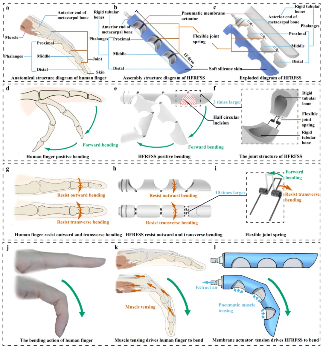 Nature子刊发表！中国地质大学团队研发刚-柔-软结构仿人手指，既能托举20倍自重，也能无损拿捏豆腐蛋黄-CSDN博客