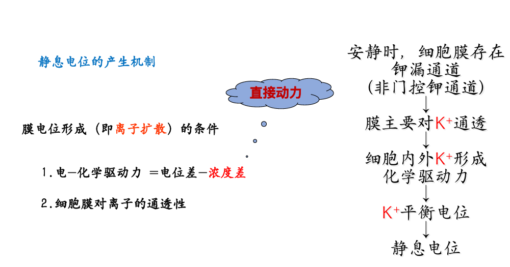 杭电-脑与认知科学概论-CSDN博客