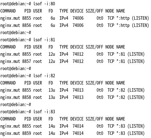 lsof 查看新的 master 进程和 worker 进程打开的端口