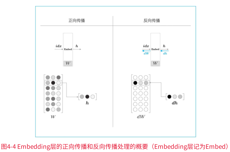 正向与反向传播的比较