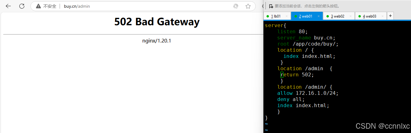 nginx重定向及set,if（day029）