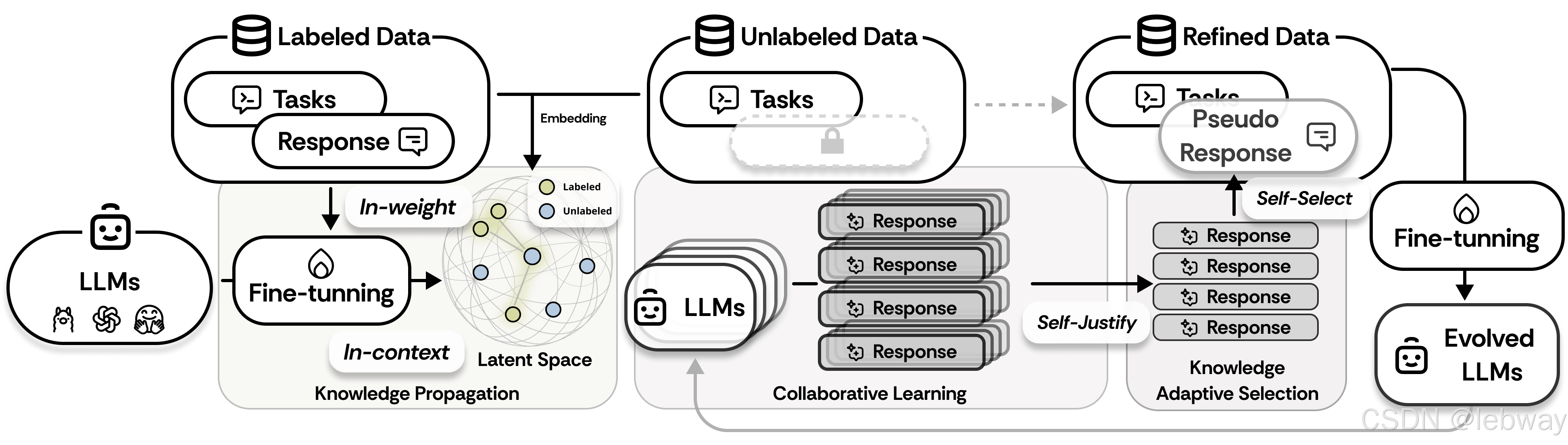 SemiEvol的Framework
