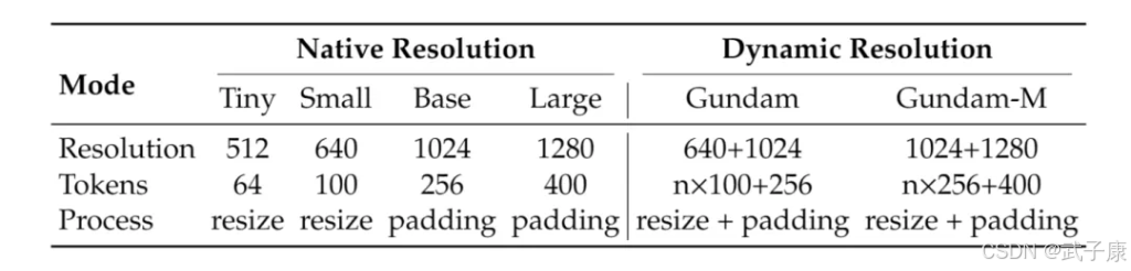DeepSeek-OCR Native Resolution Dynamic Resolution