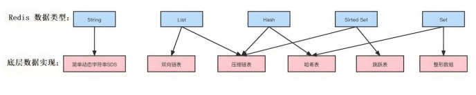 数据类型