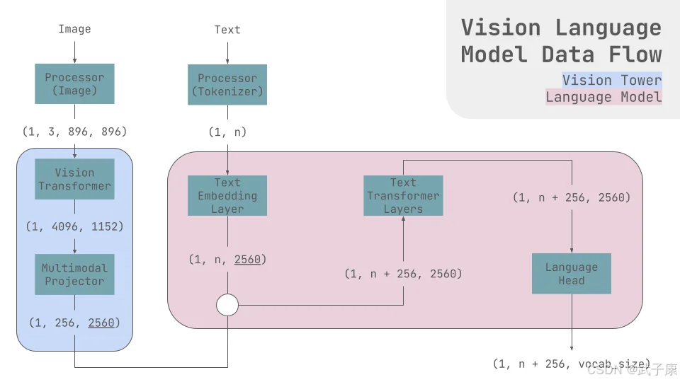 Vision Language Model Data Flow