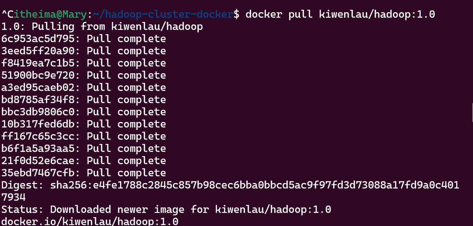 Docker搭建Hadoop分布式学习环境以及演示简单的文件上传_docker 可以安装hadoop 环境吗