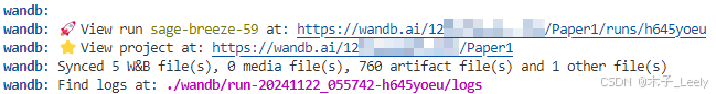 Wandb运行输出