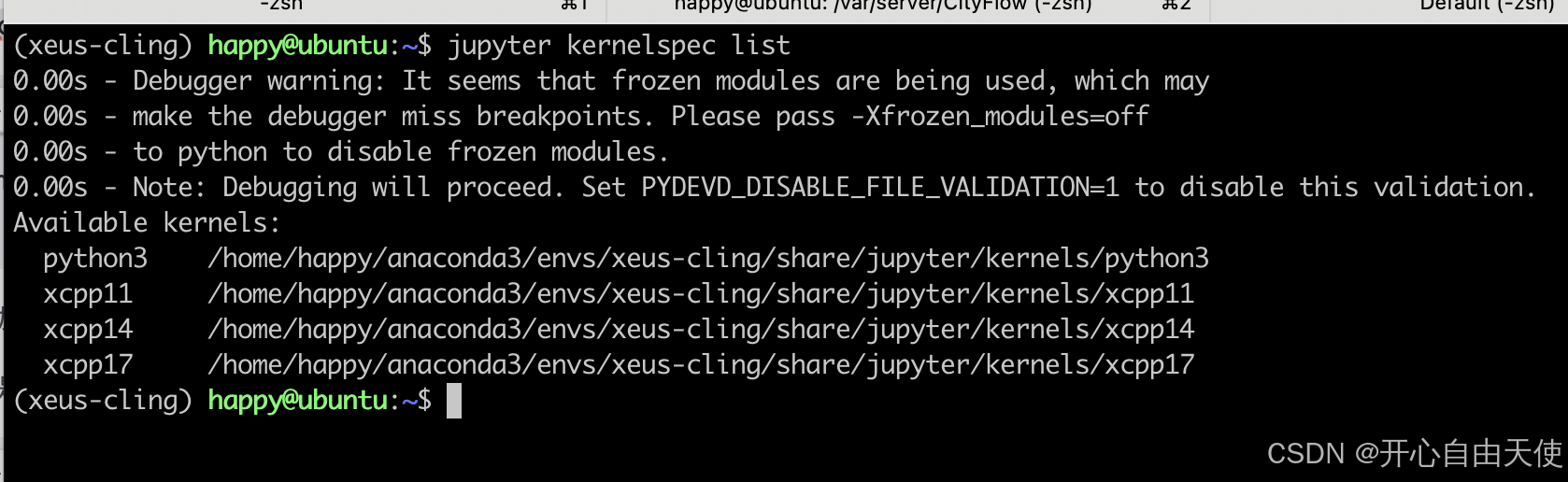 使用Jupyter 编辑运行C++代码_jupyter c++-CSDN博客