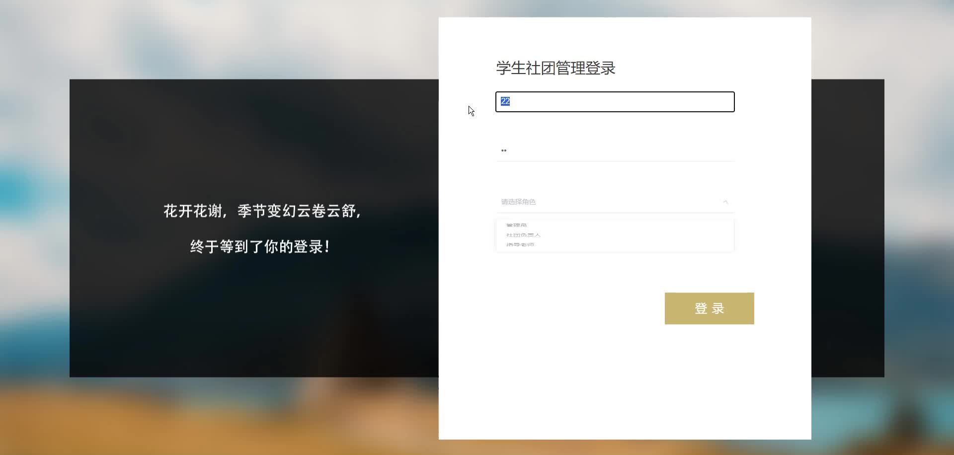 请添加图片描述