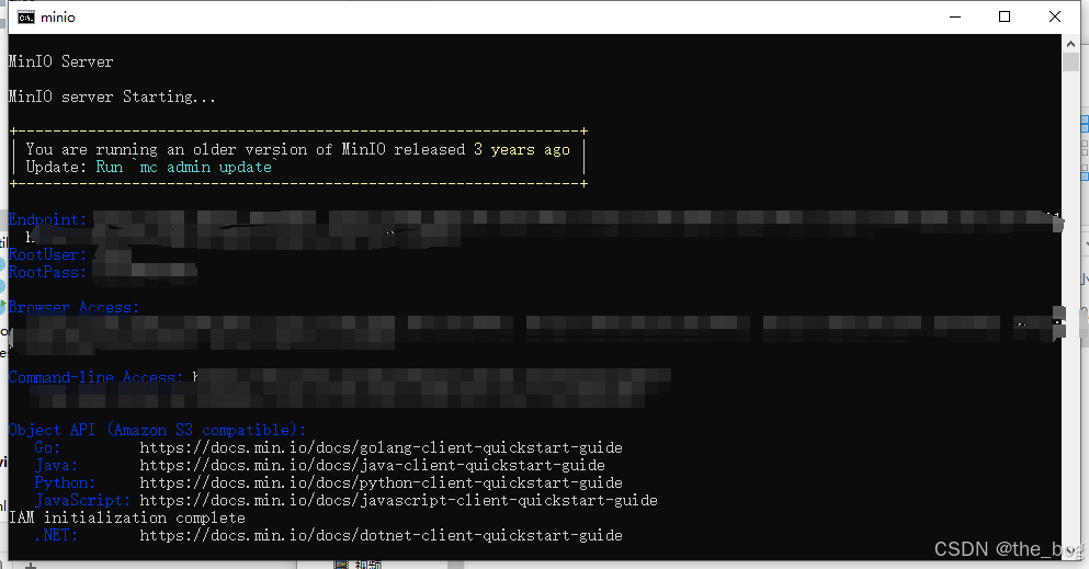 这就是启动成功了
