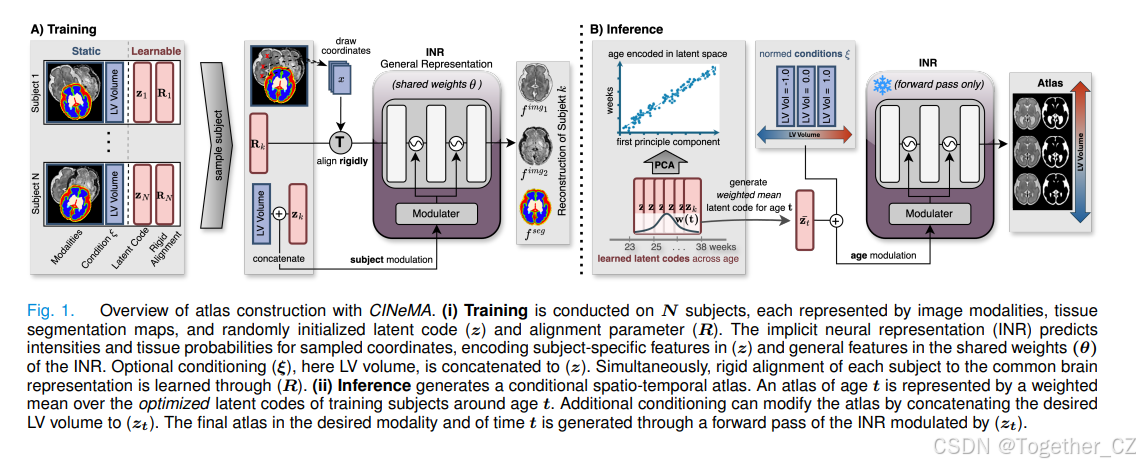 CINeMA: Conditional Implicit Neural Multi-Modal Atlas for a Spatio ...