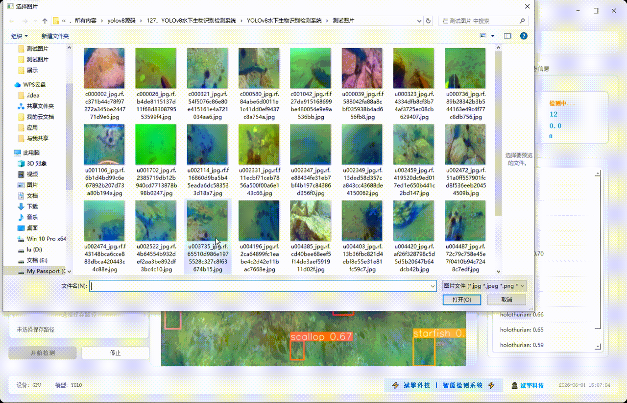 YOLOv8水下生物识别检测系统(项目源码+YOLO数据集+模型权重+UI界面+python+深度学习+环境配置)_水生生物物种智能识别模型 ...