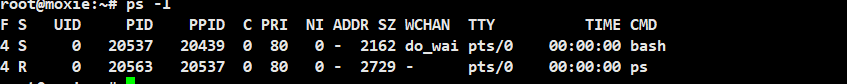 Linux 进程概念