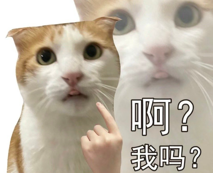 《*——*》