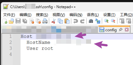 这里的IP需要更新成当前用的服务器IP. 否则vscode连不上.