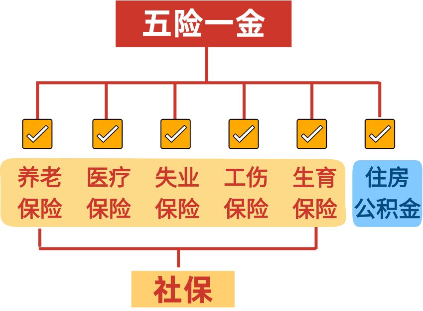 打工人自救指南:五险一金解读手册(最新版)-CSDN博客