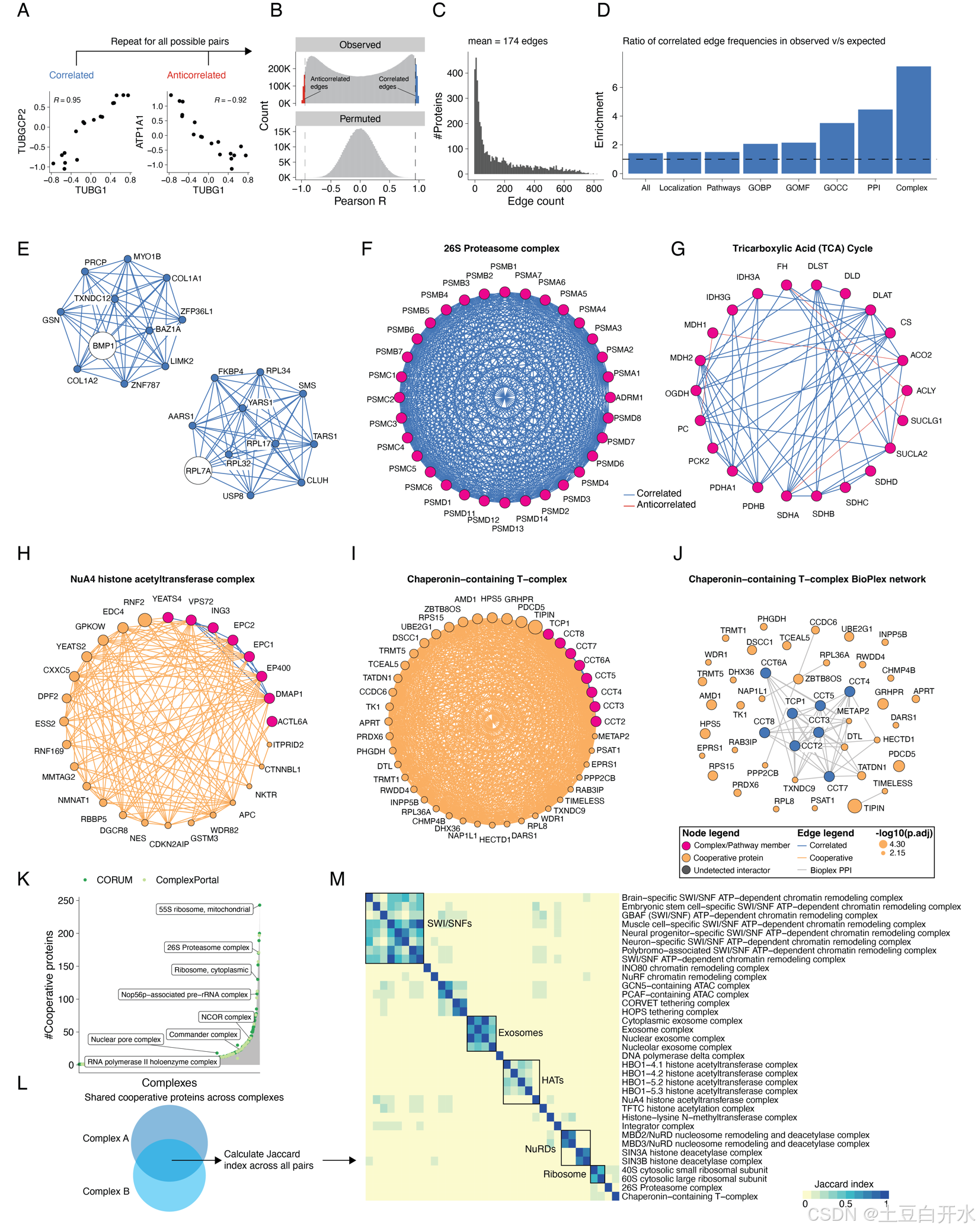 The proteomic landscape and temporal dynamics of mammalian gastruloid ...