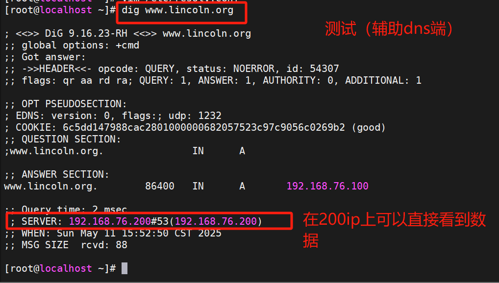 【Linux笔记】DNS域名解析服务器（dns的安装、named.conf、resolv.conf、named.rfc1912.zones、slave辅助dns）_named 域名服务安装