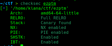 轩辕杯 pwn ez_ptm WP