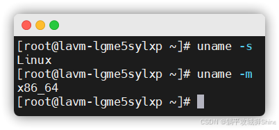 【Docker】Docker Compose 的安装与基本使用_docker compose安装