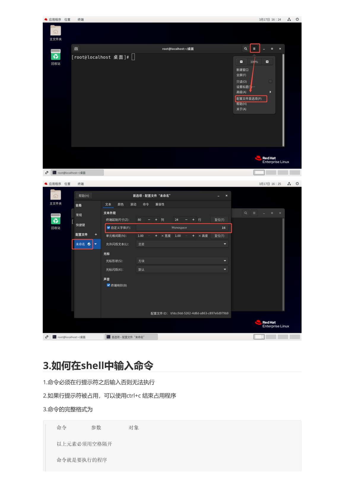 命令输入格式